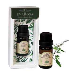 Tinh dầu Hương Nhu EVAROSA chai 10ml