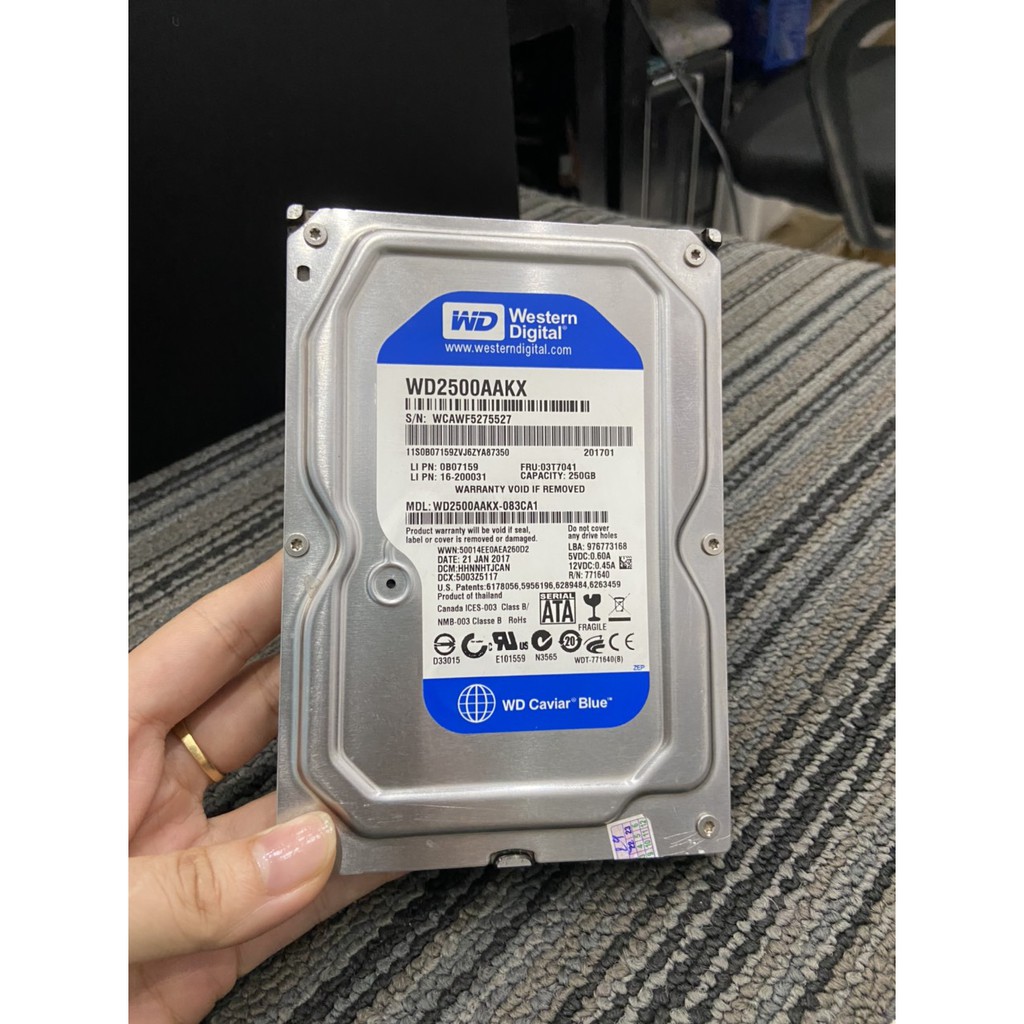 Ổ CỨNG HDD 250GB - BẢO HÀNH 12 THÁNG