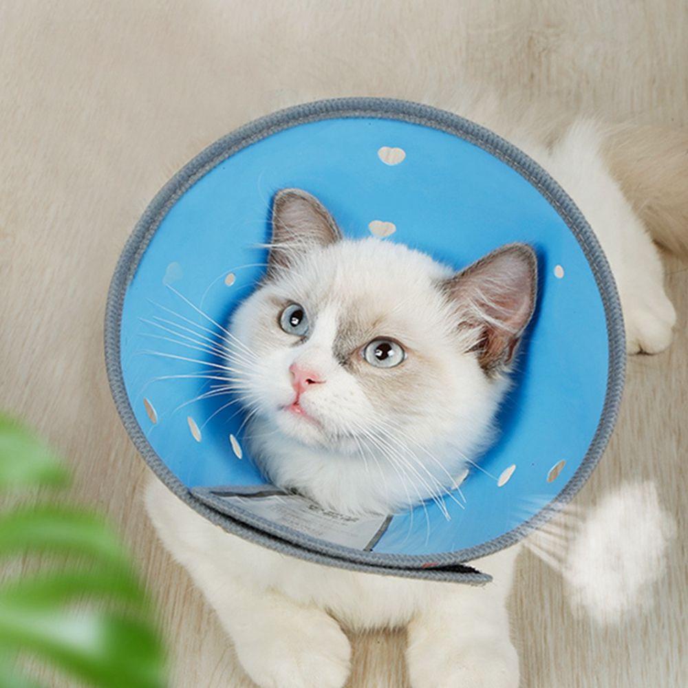 Vòng Cổ Trong Suốt Bảo Vệ Vết Thương Cho Thú Cưng