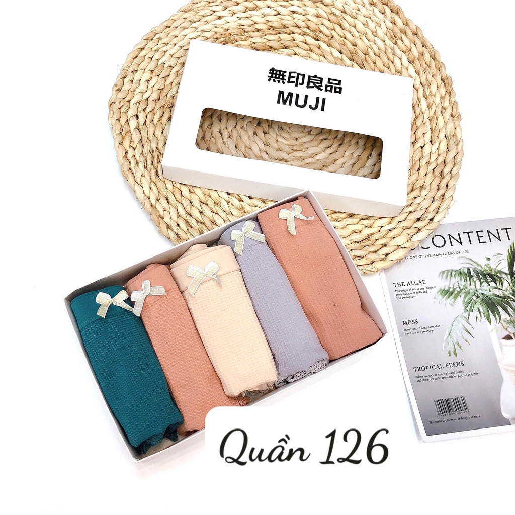 Min's Shoes - Hộp 5 quần chíp nữ cotton xuất Nhật Quần 126