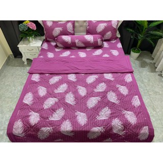Bộ mền thun hàn quốc m6