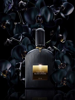 [Authentic, đủ bill] NƯỚC HOA TOM FORD BLACK ORCHID EDP
