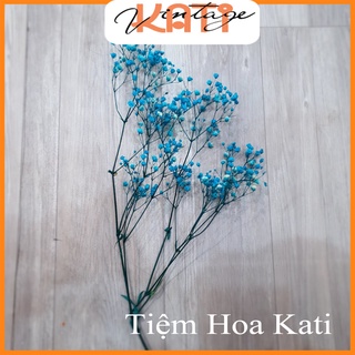 Hoa BABY KHÔ SIZE LỚN  - decor- bình hoa- hoa khô trang trí cafe, trà chanh, trà sữa, quán ăn, [405]