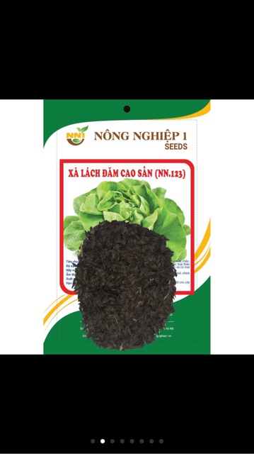 Hạt giống xà lách đăm