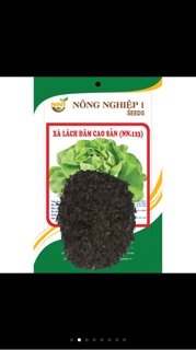 Hạt giống xà lách đăm