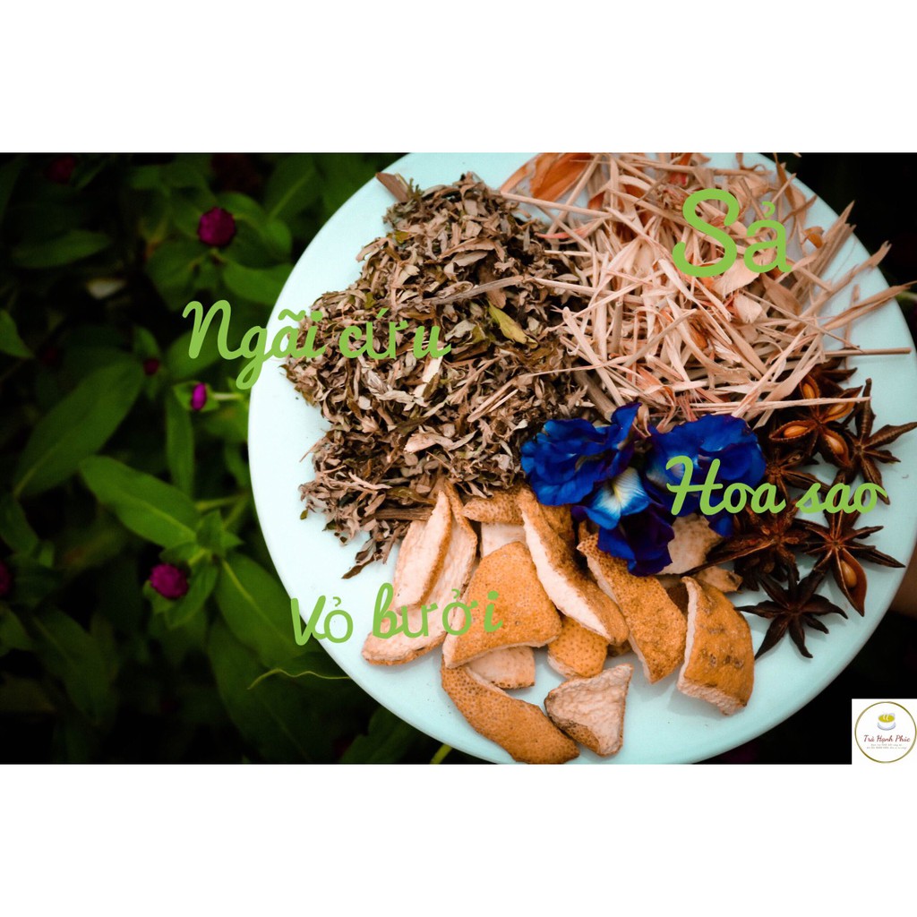 Thảo dược ngâm chân-10 gói túi lọc( ngãi cứu, vỏ bưởi, sả, hoa hồi, muối) | BigBuy360 - bigbuy360.vn
