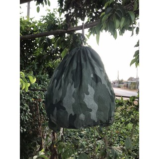áo lụp balo chim cu gáy