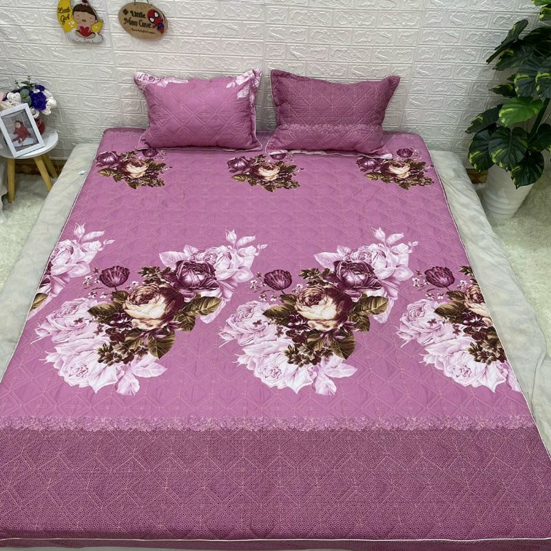 sét ga gối chun trần có bán kèm cả chăn hè