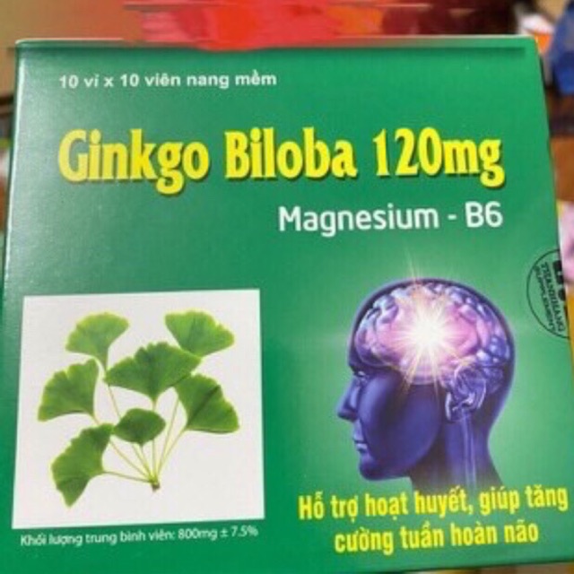 Ginkgo Biloba 120mg Magnesium -B6(h 100v)