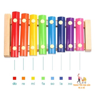 Nhạc cụ đàn gõ xylophone 8 thanh cho bé