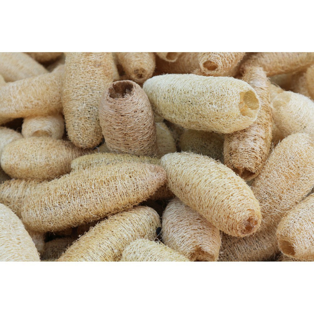 Xơ Mướp Khô tự nhiên, chiều dài 20-25cm, dùng làm bông tắm, miếng rửa chén