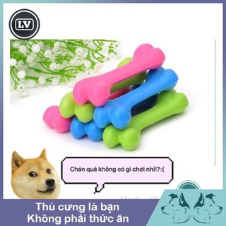 Xương cao su cho chó gặm sạch răng Phụ kiện Long Vũ
