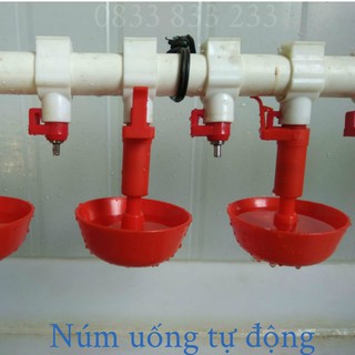 Núm uống cho gà con bộ 10 núm