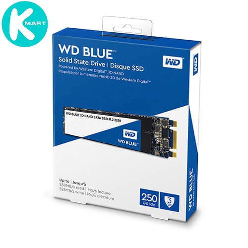 Ổ Cứng SSD WD Blue 3D NAND 250GB M.2 2280 WDS250G2B0B - Hàng Chính Hãng