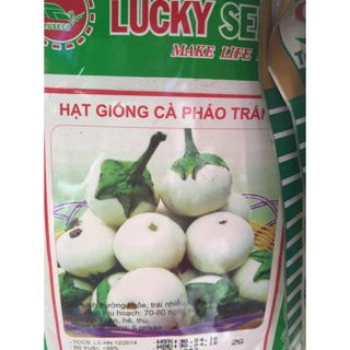 Hạt giống cà pháo trắng