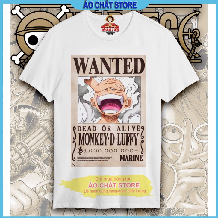 Áo Thun One Piece Băng Mũ Rơm Zoro | Luffy | Sabo | Ace mẫu mới OP195 | Áo Chất Store