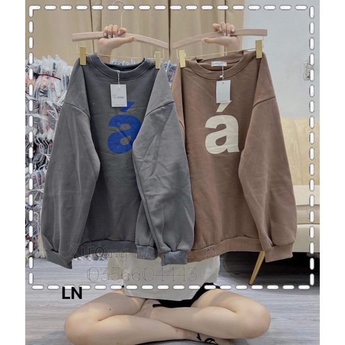 Áo nỉ Swt chữ Á TH6