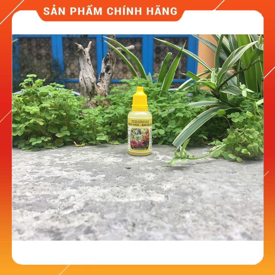 KÍCH RỄ CHỒI HOA 4 lọ (hoa lan, hoa hồng và cây cảnh khác)