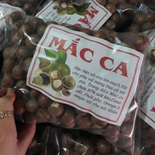 Hạt macca rừng tây bắc