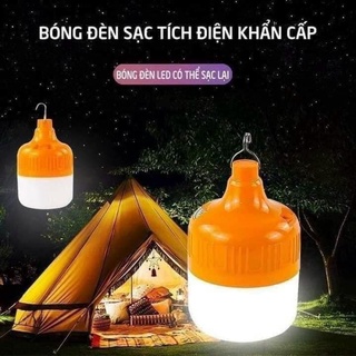 BÓNG ĐÈN TÍCH ĐIỆN SIÊU TIỆN ÍCH 100W