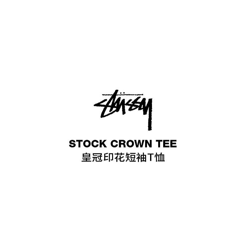 Áo Thun Ngắn Tay In logo Stussy Thời Trang Cho Nam 1904715H