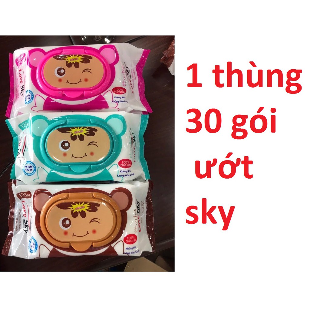 1 thùng 30 gói giấy ướt sky 125g