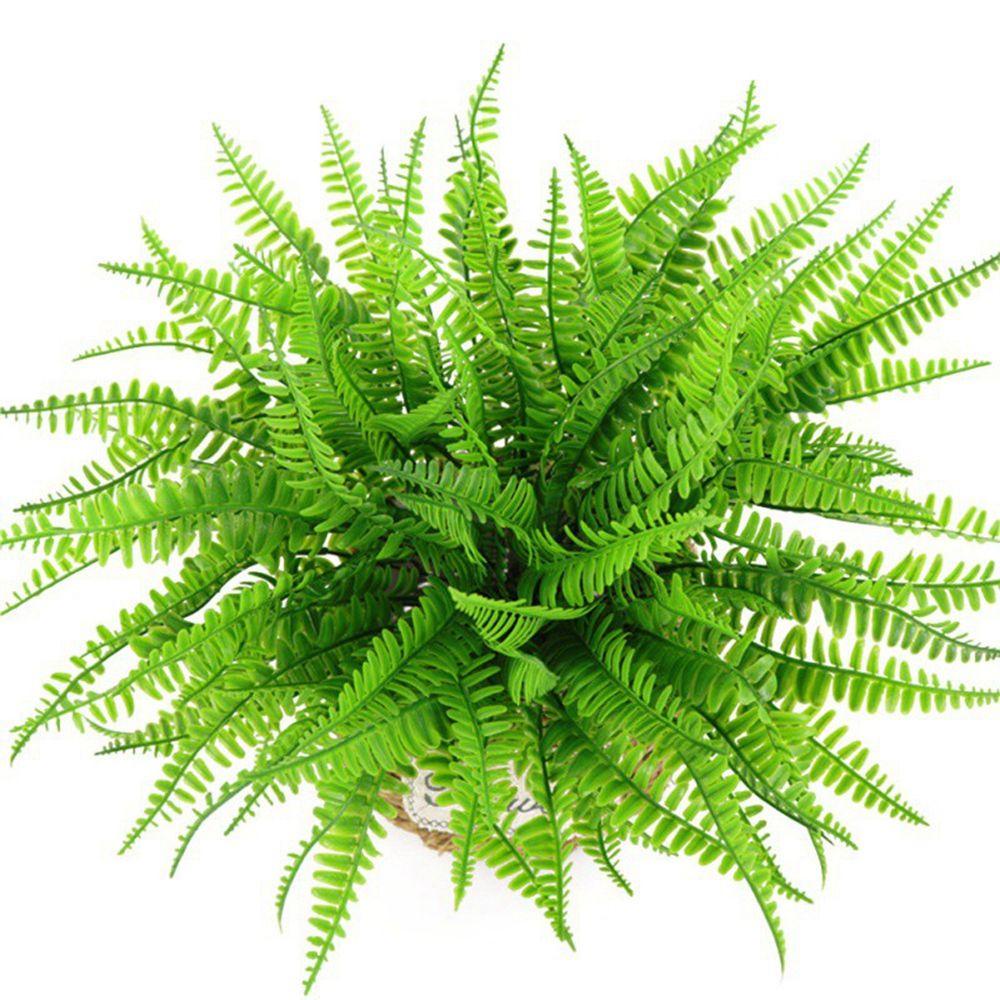 Cây Dương Xỉ Nhân Tạo Màu Xanh Lá Dùng Trang Trí Văn Phòng