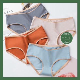 Quần Lót Cotton Sợi Bông Đa Sắc Cao Cấp giá sỉ cực tốt