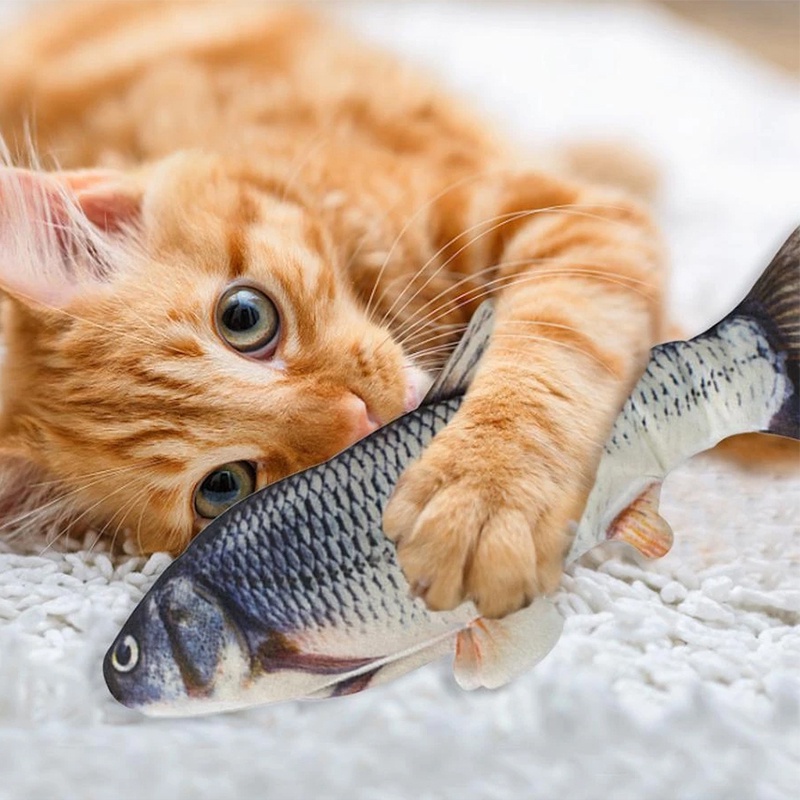 Cá Nhồi Bông Đồ Chơi 20CM 27Pets Tương Tác Với Mèo
