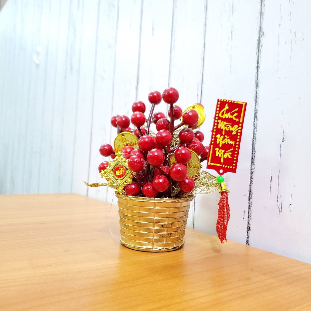Chậu đào đông nhí cao 15cm để bàn trang trí tết
