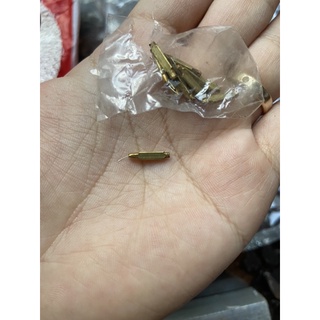 Kim và pet đèn măng xông