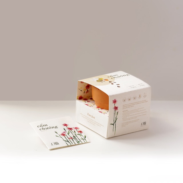 Kit Trồng Cây Mini - Hoa Cẩm Chướng Mini | Plant Kit - Dianthus