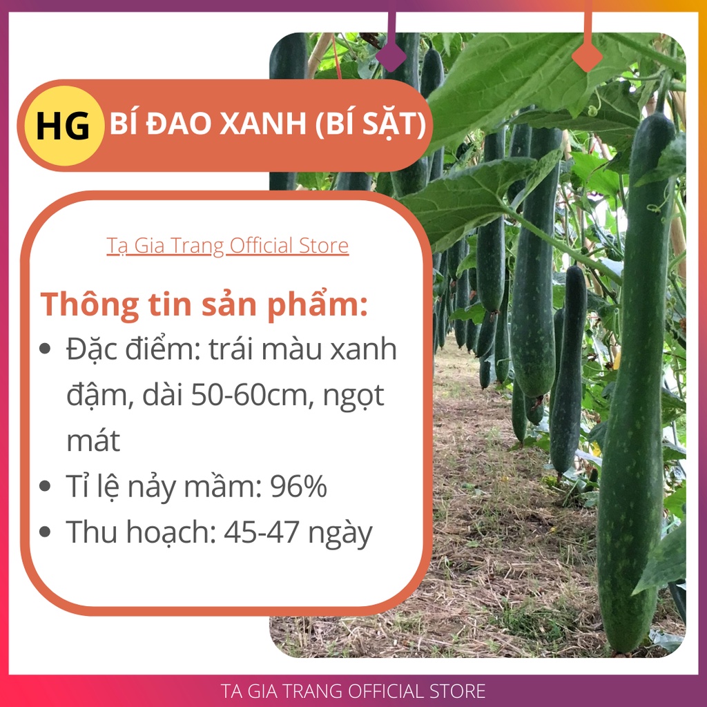 Deal 1K - Hạt giống bí sặt cao sản (bí đao xanh) - Tập làm vườn cùng Tạ Gia Trang