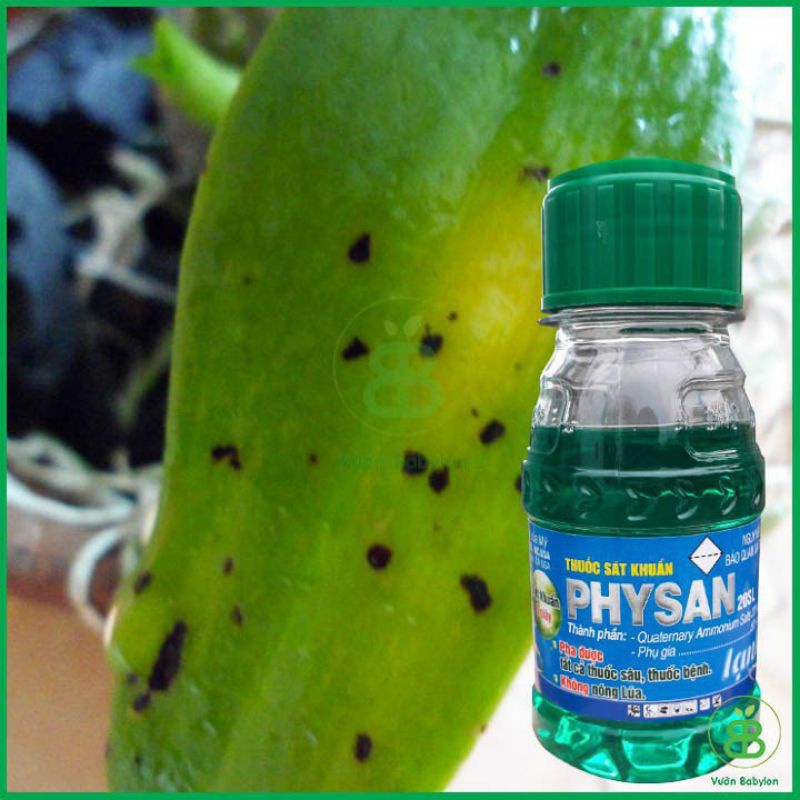 Thuốc sát khuẩn cây trồng PhySan 20SL - Diệt vi khuẩn thối