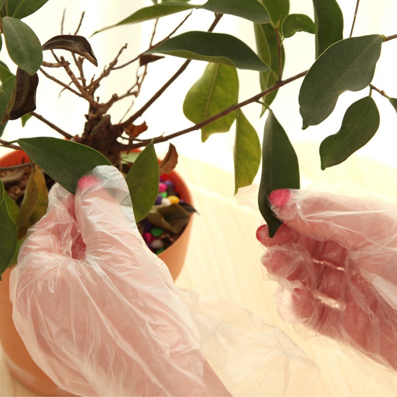 Set 50/100 Găng Tay Nylon Dùng Một Lần Tiện Dụng Thân Thiện Với Môi Trường