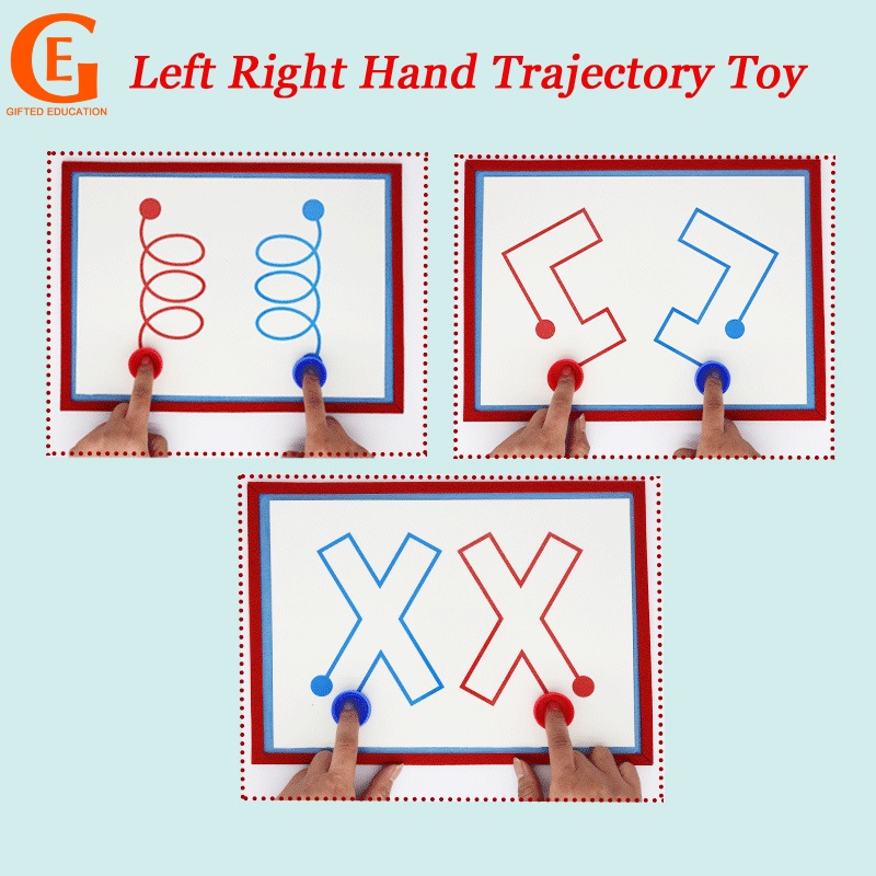 Đồ Chơi Phản Xạ Bàn Tay Trái Phải Theo Phương Pháp Montessori Giúp Bé Học Tập Sớm Cải Thiện Sự Tập Trung
