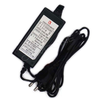 Bộ Sạc Chuyển Đổi 12v - 2A cctv carger Adlunv4 ~ nzc1498