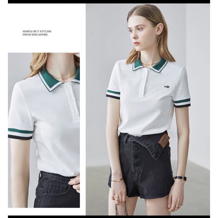 Áo polo cổ dệt lacoste TĐ