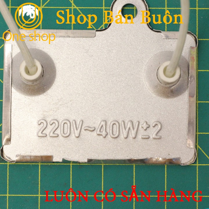 Điện Trở Nhiệt Dạng Lá 220VAC-40W
