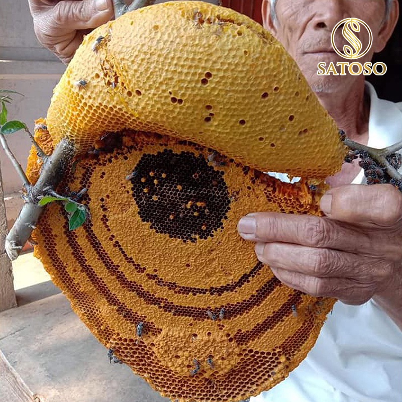 Mật ong thảo quả SATOSO 100% nguyên chất SA127