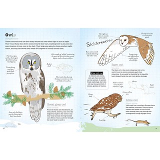 A World Of Birds