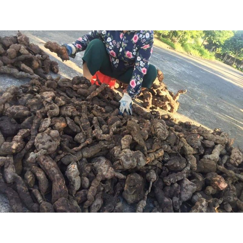 500gr viên hà thủ ô hỗ trợ giảm tóc bạc, rụng tóc, đẹp da