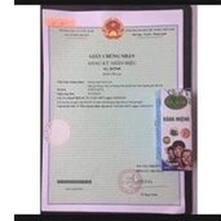 ( 20ml) Tinh Dầu Sâu Răng,Hôi Miệng DTL