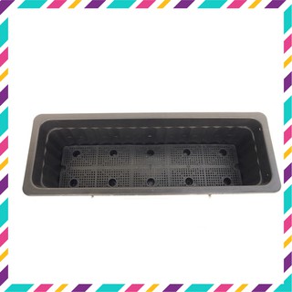 5 Chậu Nhựa Thông Minh Trồng Rau Sạch, Nuôi Cá Guppy (KT: 64cm x22cm x19cm)