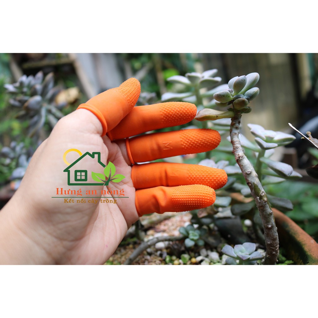 Sét 50 bao xỏ tay chống đau đầu ngón chất liệu cao su bám tốt có size tay nam nữ