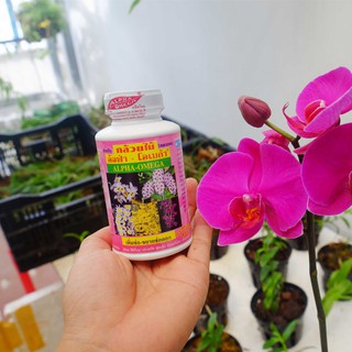 Alpha omega 250ml phân bón lá chăm sóc - kích hoa lan siêu hiệu quả - tầm này lo gì lan không nở