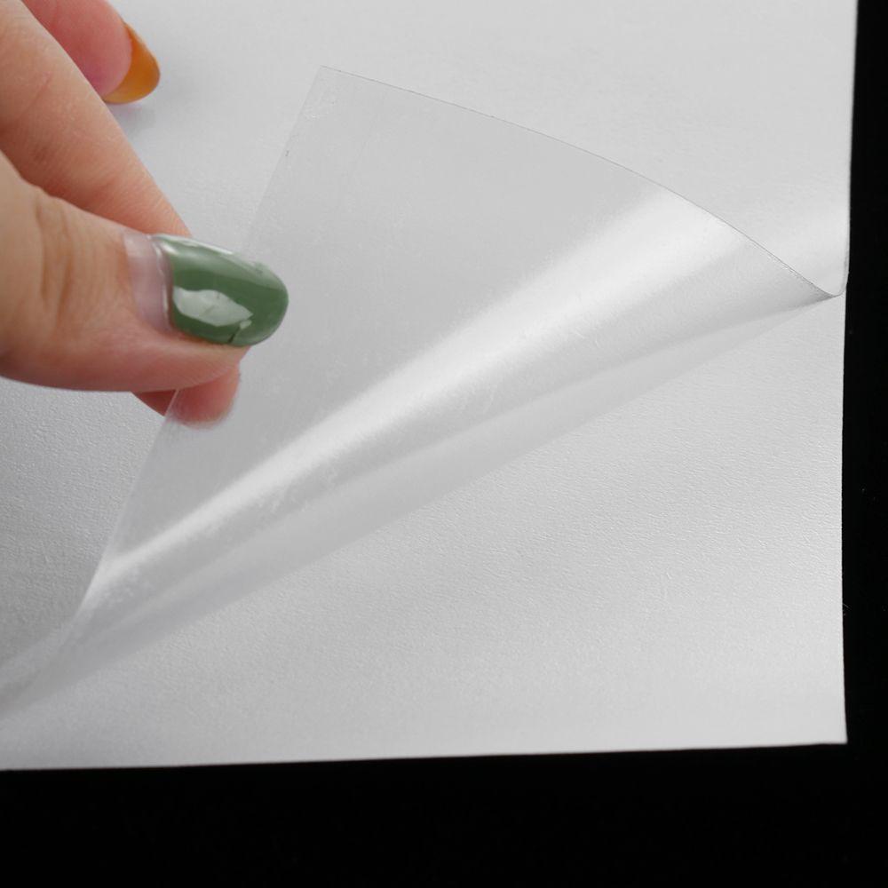 Bộ 2 Miếng Dán Chống Trầy Xước Bảo Vệ Đồ Nội Thất Cho Mèo