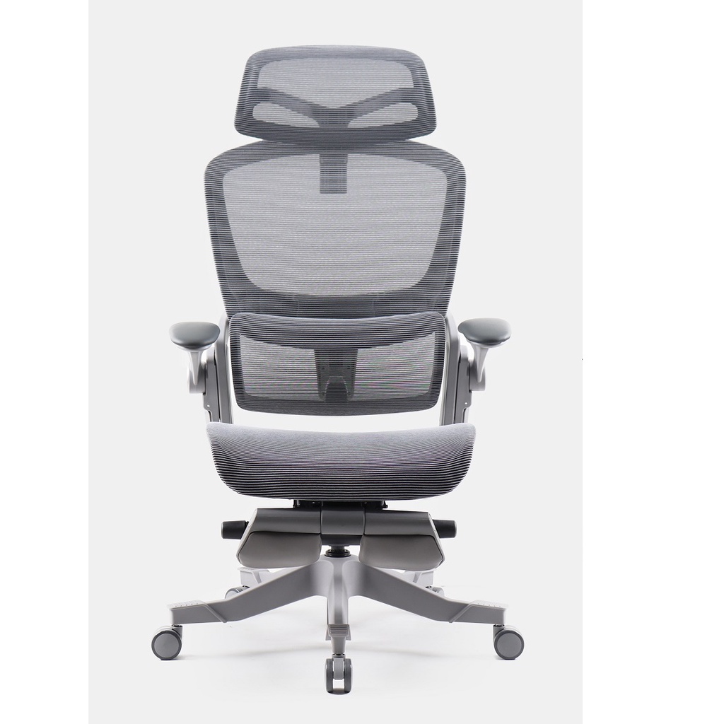 Ghế công thái học Epione Easy Chair - Hàng chính hãng