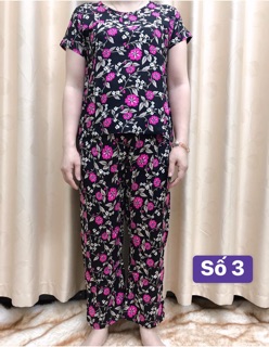 Bộ lanh dài trung niên