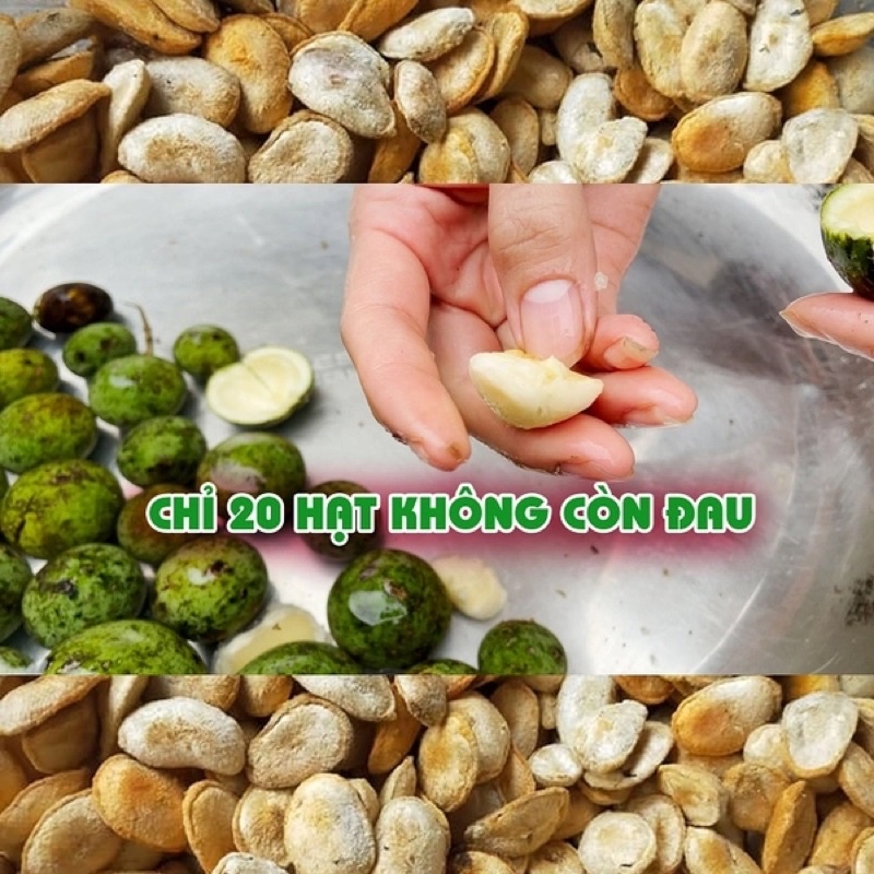 [ Giá Huỷ Diệt ] Hạt Sành Khô Già ( Hạt Dạ Dày Vi Khuẩn HP )